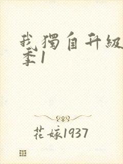 我独自升级第三季1