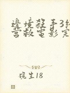 边境杀手3终极营救电影完整版