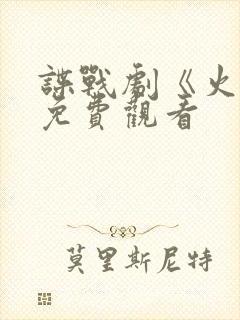 谍战剧《火神》免费观看