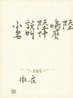 小说陆鸣陆瑶书名叫什么