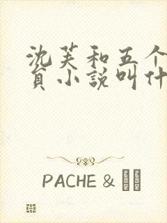 沈芙和五个消防员小说叫什么封面