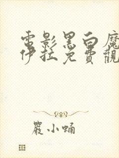 电影黑白魔女库伊拉免费观看封面