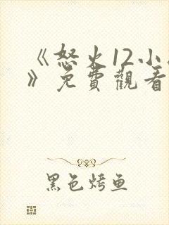 《怒火12小时》免费观看 完整