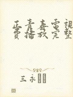 正青春电视剧免费播放完整版八度影院