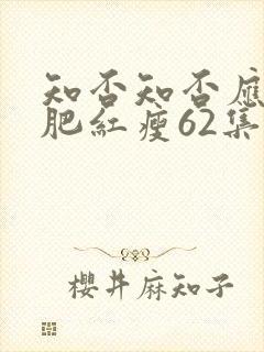 知否知否应是绿肥红瘦62集