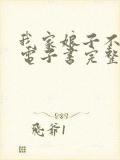 我家娘子不对劲电子书完整版