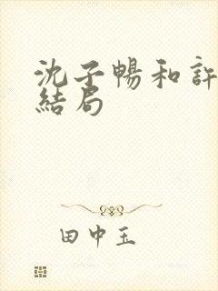 沈子畅和许言的结局封面