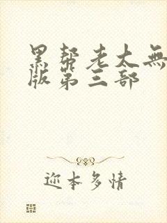 黑帮老大无删减版第三部