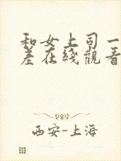 和女上司一起出差在线观看