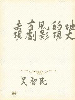 去有风的地方电视剧影视大全封面