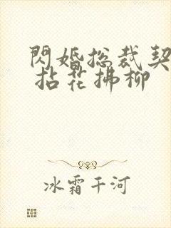 闪婚总裁契约妻 拈花拂柳