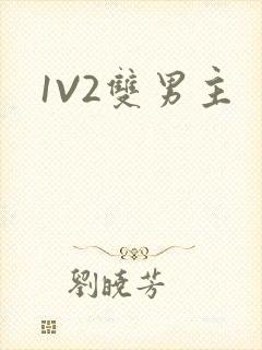 1V2双男主