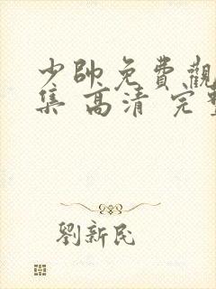 少帅免费观看全集 高清 完整封面