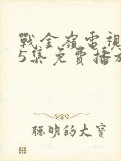 战金岭电视剧45集免费播放