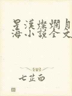 星汉灿烂月升沧海小说全文阅读