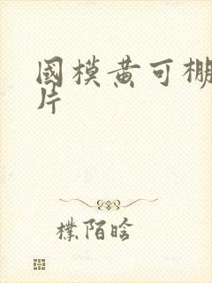 国模黄可棚拍图片