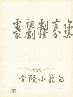 电视剧有你才有家剧情分集介绍