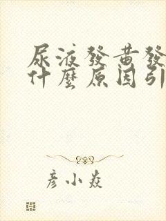 尿液发黄发浑是什么原因引起的