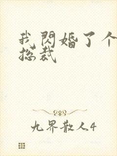 我闪婚了个亿万总裁封面