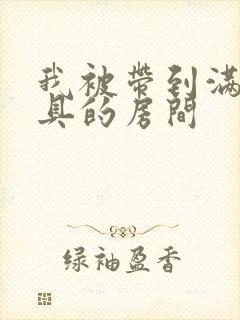 我被带到满是玩具的房间封面