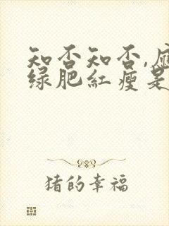 知否知否,应是绿肥红瘦是什么意思