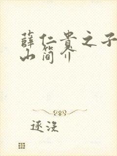 薛仁贵之子薛丁山简介