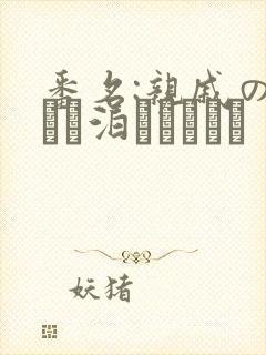 番名:亲戚の子とお泊まりだから封面