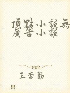 顶点小说无弹窗广告小说