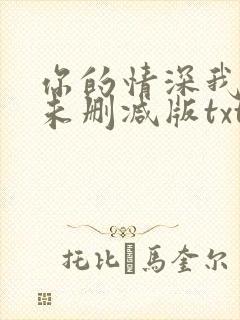 你的情深我不配未删减版txt下载封面