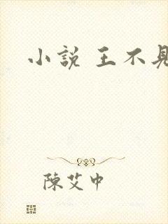 小说 王不见王
