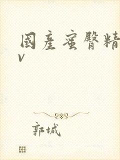 国产蜜臀精品av封面