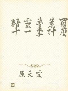 精灵梦叶罗丽第十一季什么时候更新封面