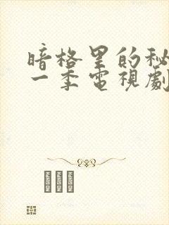 暗格里的秘密第一季电视剧免费观看