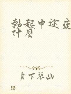 勃起中途疲软吃什么封面