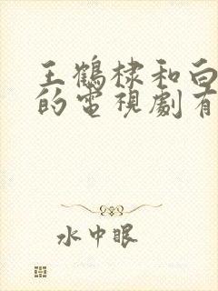 王鹤棣和白鹿演的电视剧有哪些封面