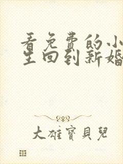 看免费的小说重生回到新婚之夜