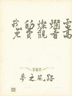 我的灿烂电视剧免费观看高清