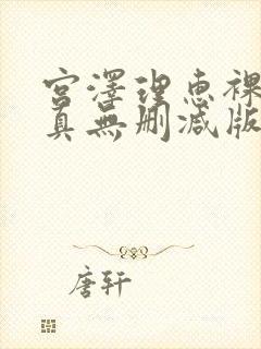 宫泽理惠裸体写真无删减版封面