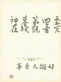 神墓第四季年番在线观看完整版