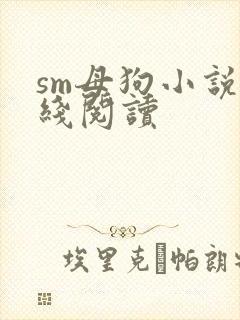 sm母狗小说在线阅读封面