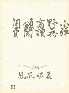 周颂商野小说免费阅读无弹窗