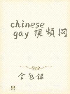 chinese gay 视频网站封面
