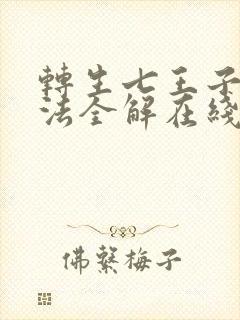 转生七王子的魔法全解在线观看