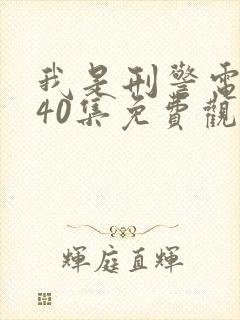 我是刑警电视剧40集免费观看