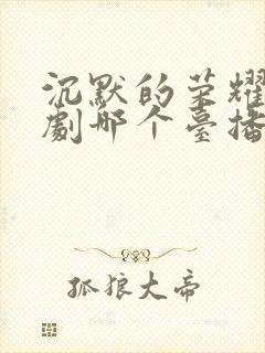 沉默的荣耀电视剧哪个台播放封面