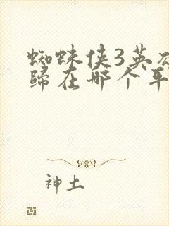 蜘蛛侠3英雄无归在哪个平台观看