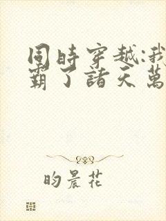 同时穿越:我制霸了诸天万界