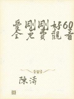 爱刚刚好60集全免费观看电视剧