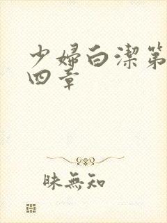 少妇白洁第三十四章