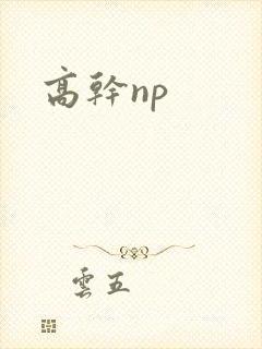 高干np